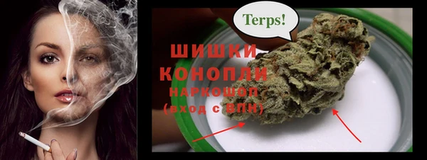 прущие грибы Арсеньев